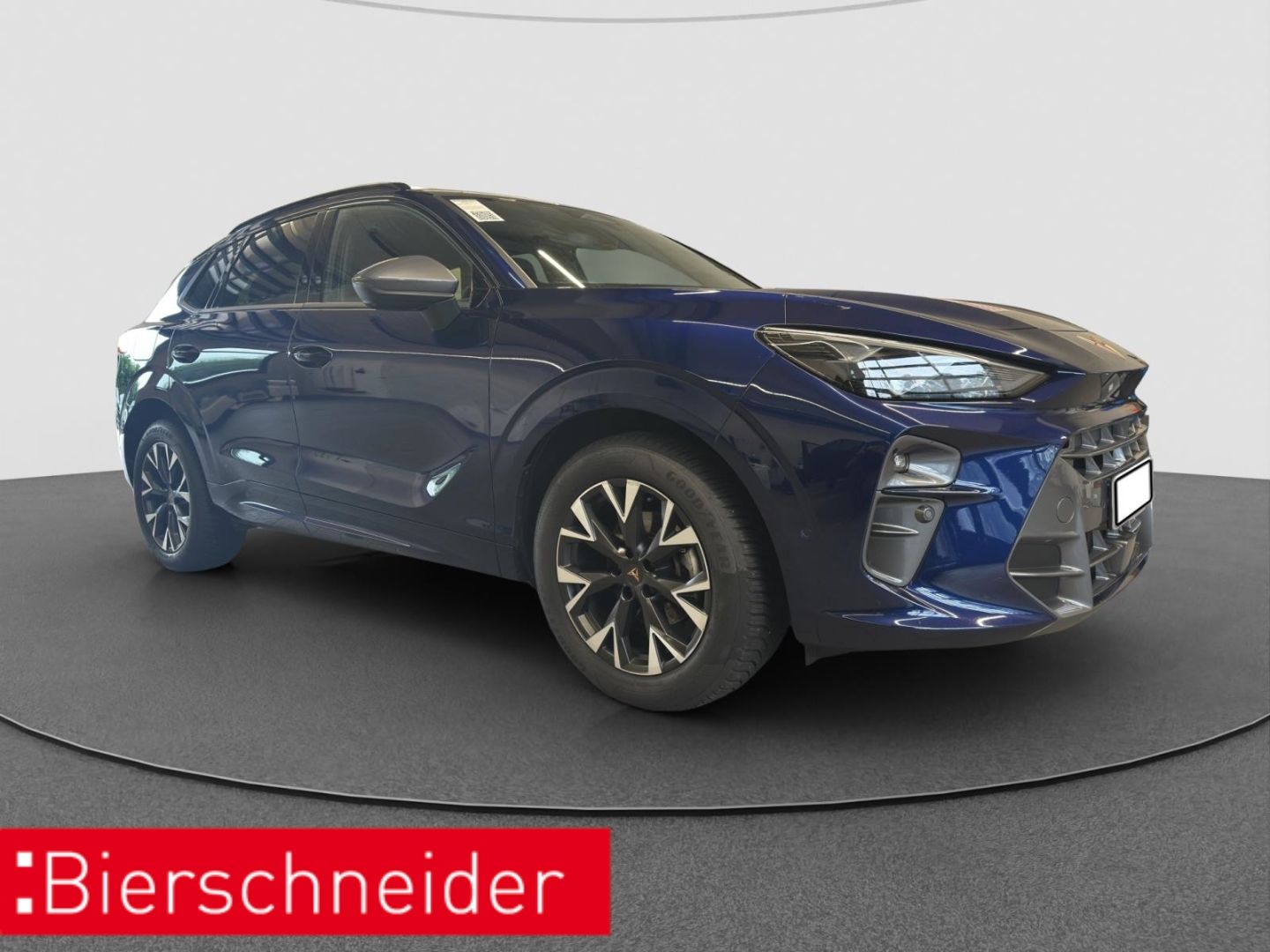 Cupra Terramar - Bild 10