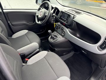 Bild 13 Fiat Panda Base 1.0 Mild Hybrid DAB Klima teilb.Rücks