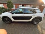 Citroën C4 Cactus PureTech 82 Feel Feel - Citroën C4 Cactus von privat