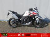 Zontes 703F Adventure - Neu - Finanzierung #3976 - ZONTES 703F