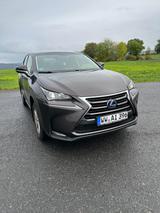 Lexus NX 300h - Lexus aus 2015
