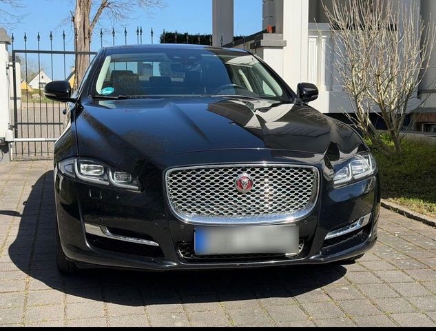 JAGUAR XJ