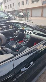 Ford Mustang 5.0 Ti-VCT V8 GT Auto GT - Ford Mustang mit Benzin-Antrieb: Cabrio, 5.0