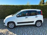 Fiat FIAT Panda 0.9Turbo S&S 4x4 Eld Pop N1-Van - 201 - Fiat: Turbo 20v