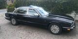 Jaguar XJ12 6.0l, X300, Langversion, Daimler Double Six - scheckheftgepflegte Jaguar XJ12