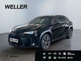 Lexus UX 250h F SPORT Design *Bi-LED*ACC*RCam*SHZ*PDC*