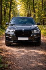 BMW X5 xDrive30d F15  GARANTIE bis 10/2026  TO