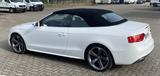Audi A5 Cabrio 2.0 TDI 140kW quattro - Audi A5 mit Diesel-Antrieb: Cabrio, 2.0