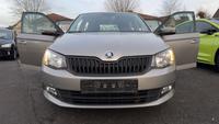 Skoda Fabia Cool Plus