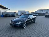 Mercedes-Benz CLK 320 Cabrio 3. Hand Rostfrei TÜV Neu - Mercedes-Benz 320 aus 2004