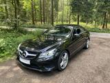 Mercedes-Benz 250 - Mercedes-Benz 250: Sportwagen