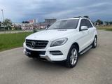 Mercedes-Benz ML 500 4MATIC - 2. Hand  - Mercedes-Benz ML 500: 4matic