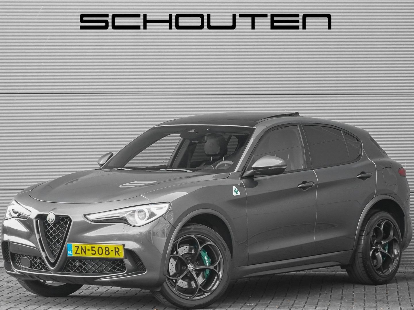 Alfa Romeo Stelvio 2.9 V6 AWD Quadrifoglio Pano H&K Carbon