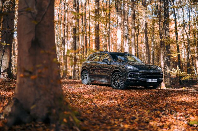 Porsche Cayenne 1. Hand, Leder, Panorama *mtl. 485€*