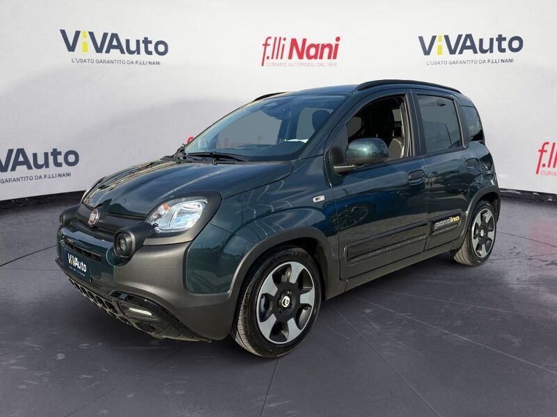 Image of Fiat Other