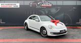 Volkswagen Beetle Lim. Cup BMT*PANO*TEMPOMAT - gebrauchte VW Beetle aus dem Jahr 2015