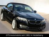 BMW 218 i Cabrio Advantage - ERST 38000 KM !!! - BMW: E38