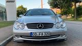 Mercedes-Benz Mercedes CLK 320 PANO LEDER XENON BOSE AMG... - Mercedes-Benz CLK 320: AMG