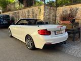 BMW M240i xDrive Cabrio / kein OPF / H&K / LED - BMW M240i von privat