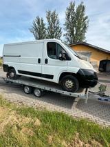 Peugeot Boxer - Peugeot Boxer aus 2011: Van