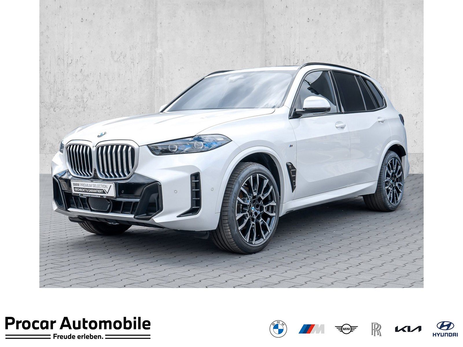 BMW X5 - Bild 1