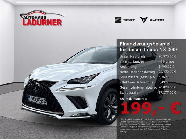 NX 300h 300 h E-Four *Sportpaket+Panorama+Memory