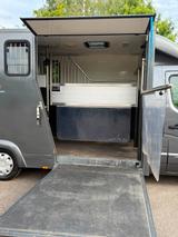 Renault Master  Pferdewagen Horsetruck Hengstversion - gebrauchte Renault Van