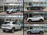 Nissan Qashqai Acenta 1,3 DIG MildHyb. WinterP. frei... - Nissan Qashqai Neuwagen in Hamburg