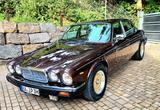 Jaguar XJ - Jaguar Gebrauchtwagen von 1986