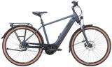 Pegasus Premio EVO 5F Belt L (28 Zoll) - Pegasus E-Bikes