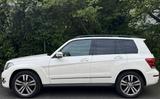 Mercedes-Benz Mercedes GLK 200 CDI | NEUER TÜV | 20" MB-... - Mercedes-Benz GLK 200 in Köln