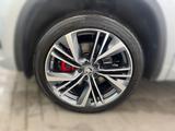 Skoda Kodiaq 2.0 TSI DSG RS 4x4  NAV LED STHZG SHZ - Skoda Kodiaq: RS