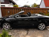 Ford Focus Cabrio - Ford Focus aus 2010: Cabrio