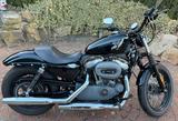 Harley-Davidson XL1200N Sportster Nightster - HARLEY-DAVIDSON 2010 SPORTSTER 1200