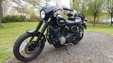 Yamaha SCR 950 mit viel Zubehör und sehr gutem Zustand - YAMAHA SCR 950