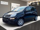 Fiat Panda Base Klimaanlage 8.Fach Bereift  - Fiat Panda in Leverkusen