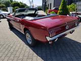 Ford Mustang 289cui V8 Cabrio - Ford Mustang aus 1965: Cabrio