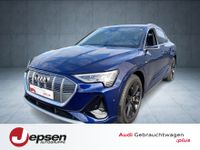 Audi e-tron - Vorschau Bild 1