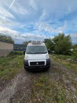 Fiat Ducato - gebrauchte Fiat Ducato aus dem Jahr 2012