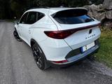 Cupra Formentor 2.0 TDI 110kW 4Drive DSG -AHK - Cupra Formentor in Solingen