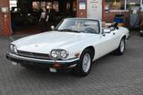 Jaguar XJS 5.3 V12 Cabrio *ORIGINAL*TRAUM OPTIK* - Jaguar Oldtimer: Cabrio