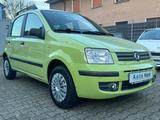 Fiat Panda 1.2 8V Dynamic*Klima*TÜV NEU* - gebrauchte Fiat Panda aus dem Jahr 2003