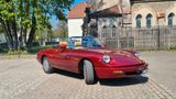 Alfa Romeo Spider 115  in sehr gutem Zustand - Alfa Romeo Spider aus 1991