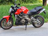 Aprilia Shiver 750 - Aprilia Motorräder in München
