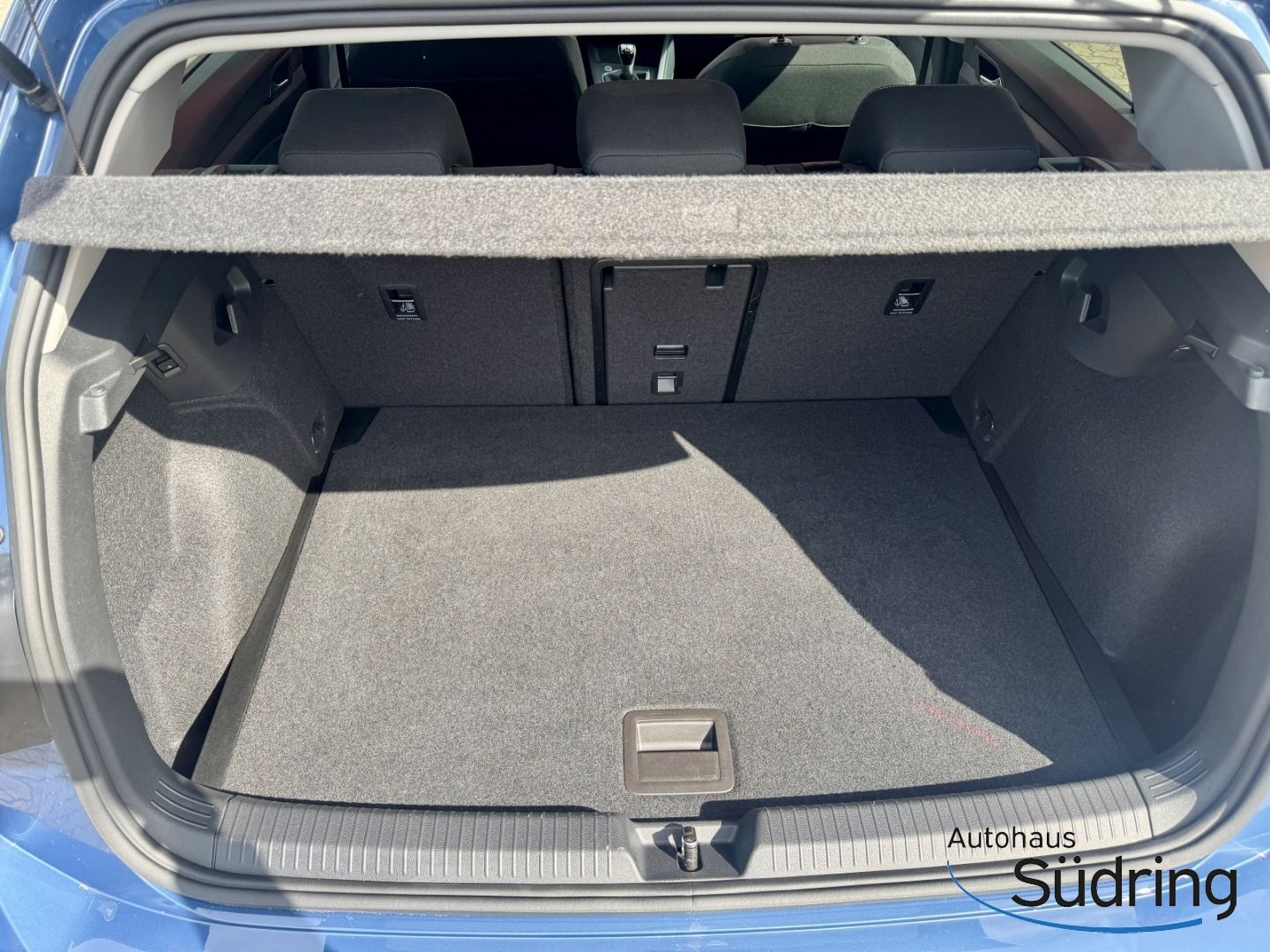 Golf VIII 1,5 TSI Life AHK  Panodach PDCv+h