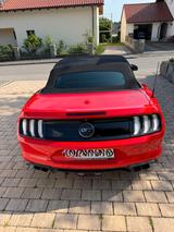 Ford Mustang 5.0 Ti-VCT V8 GT Auto GT - Ford Mustang mit Benzin-Antrieb: Cabrio, 5.0