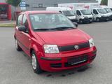 Fiat Panda 1.2 8V Classic - Fiat Panda in Lübeck