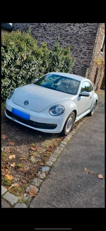 Image of Volkswagen Beetle