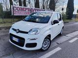 Fiat FIAT PANDA 1.2 8V FIRE EASY POWER EASY GPL 79000 - Fiat Panda mit LPG-Antrieb