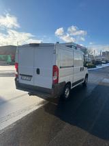 Fiat Ducato - Fiat Ducato Gebrauchtwagen in Stuttgart